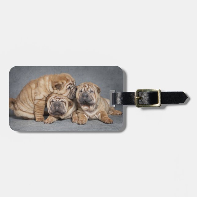 Cute Shar Pei Puppies Luggage Tag (Front Horizontal)