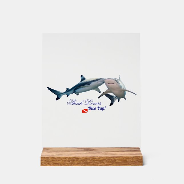 Cute Shark lovers Shot Glass Acrylic Sign (Front)
