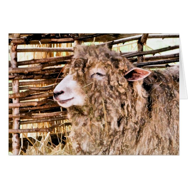 CUTE SHEEP (Front Horizontal)