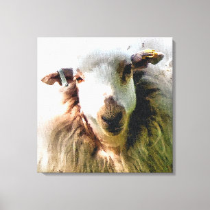 CUTE SHEEP CANVAS PRINT