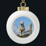 CUTE SHEEP CERAMIC BALL CHRISTMAS ORNAMENT<br><div class="desc">A photographic design of a very cute little Welsh lamb.</div>