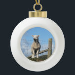 CUTE SHEEP CERAMIC BALL CHRISTMAS ORNAMENT<br><div class="desc">A photographic design of a very cute little Welsh lamb.</div>
