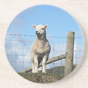 CUTE SHEEP COASTER