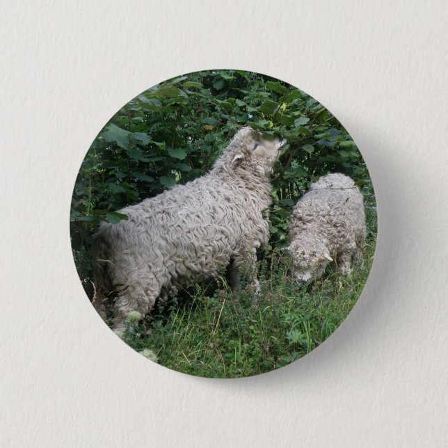 Cute Sheep Eating Leaves Button (Front)