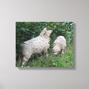 Cute Sheep Eating Leaves Canvas Print
