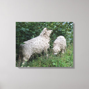 Cute Sheep Eating Leaves Canvas Print