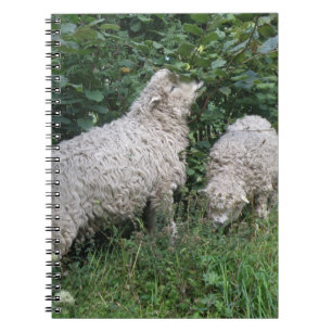 Cute Sheep Eating Leaves Notebook