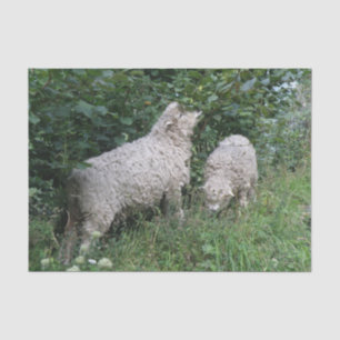 Cute Sheep Eating Leaves Tissue Paper