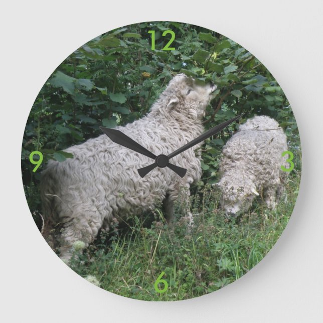 Cute Sheep Eating Leaves Wall Clock (Front)