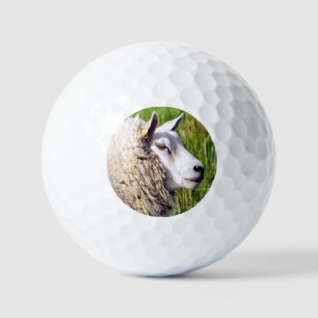CUTE SHEEP GOLF BALLS (Front)