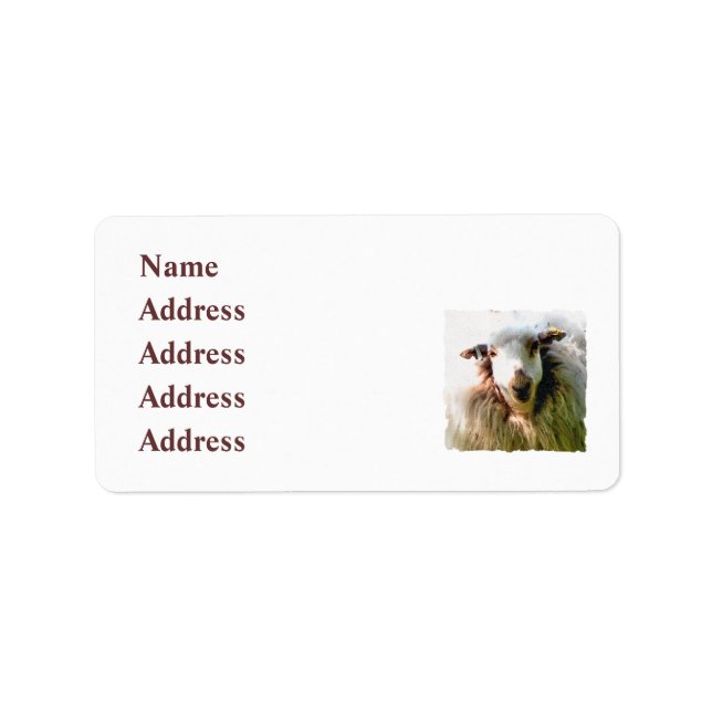 CUTE SHEEP LABEL (Front)