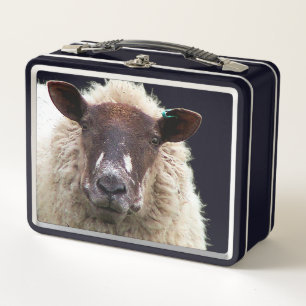 CUTE SHEEP METAL LUNCH BOX
