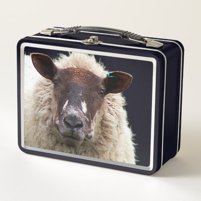 CUTE SHEEP METAL LUNCH BOX (Front)