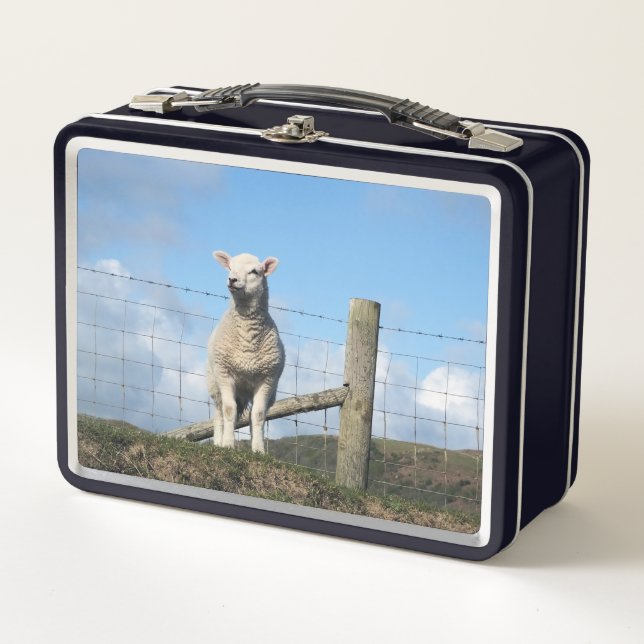 CUTE SHEEP METAL LUNCH BOX (Front)