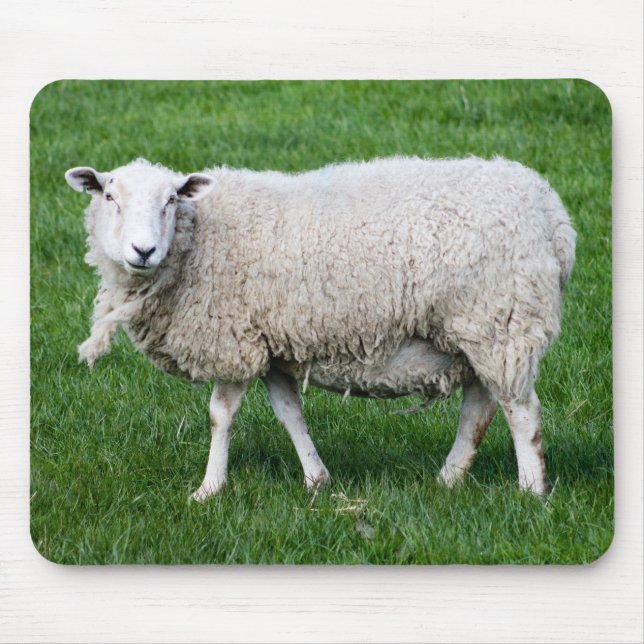 Cute Sheep Mouse Pad (Front)