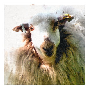 CUTE SHEEP PHOTO PRINT