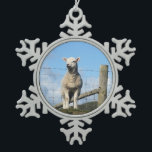 CUTE SHEEP SNOWFLAKE PEWTER CHRISTMAS ORNAMENT<br><div class="desc">A photographic design of a very cute little Welsh lamb.</div>