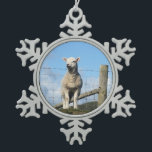 CUTE SHEEP SNOWFLAKE PEWTER CHRISTMAS ORNAMENT<br><div class="desc">A photographic design of a very cute little Welsh lamb.</div>