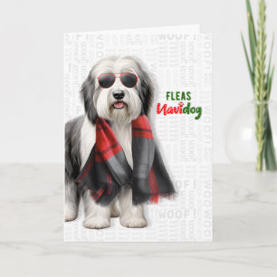 Cute Sheepdog Funny Fleas Navidog Christmas Holiday Card