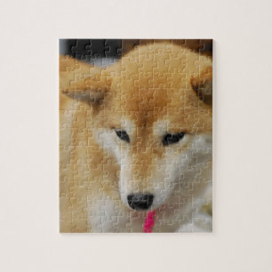 Cute Shiba Inu Jigsaw Puzzle