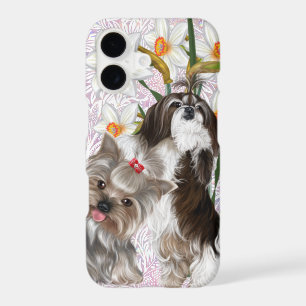 Cute Shih Tzu and Yorkie