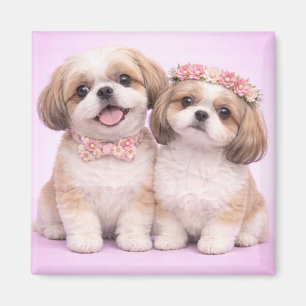 Cute Shih Tzu Couple Valentine Illustration Magnet
