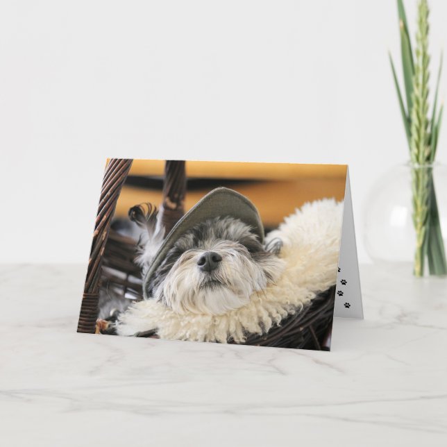 Cute Shih Tzu Dog Card (Front)