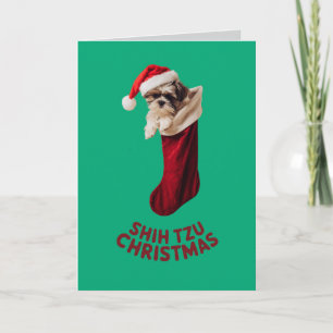 Cute Shih Tzu Dog Christmas  Card