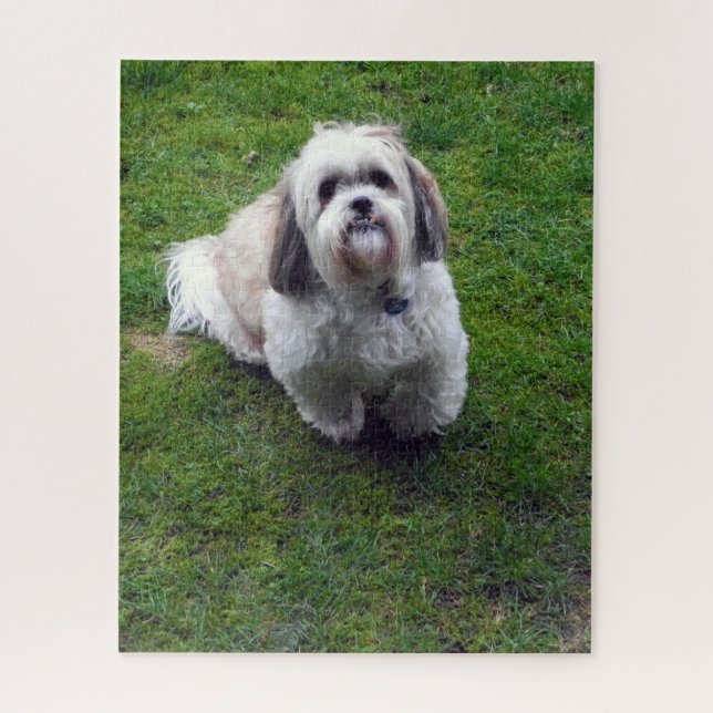 Cute Shih Tzu Fluffy Dog Picture Photo Jigsaw Puzzle (Vertical)