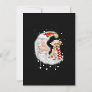 Cute Shorkie With Santa Hat Christmas Dog Lover Invitation