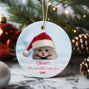 Cute Shorthair Cat Santa Hat Paw Personalized  Ceramic Tree Decoration