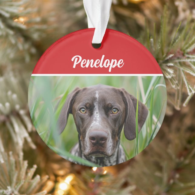 Cute Shorthair Pointer Dog Holiday Christmas Photo Ornament (Tree)