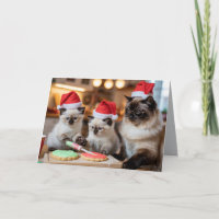 Cute Siamese Cat Christmas Cookie Card