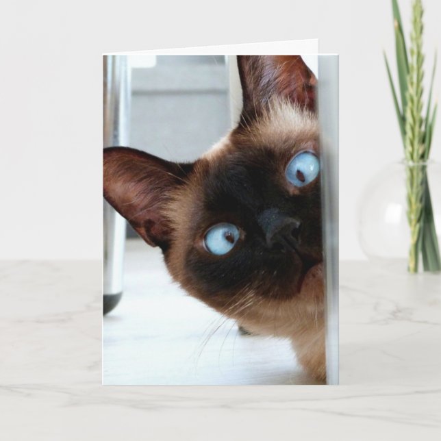 CUTE SIAMESE CAT PEEKING IN HELLO CARD (Front)