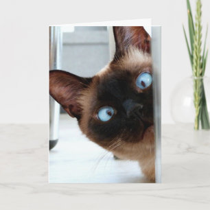 CUTE SIAMESE CAT PEEKING IN HELLO CARD