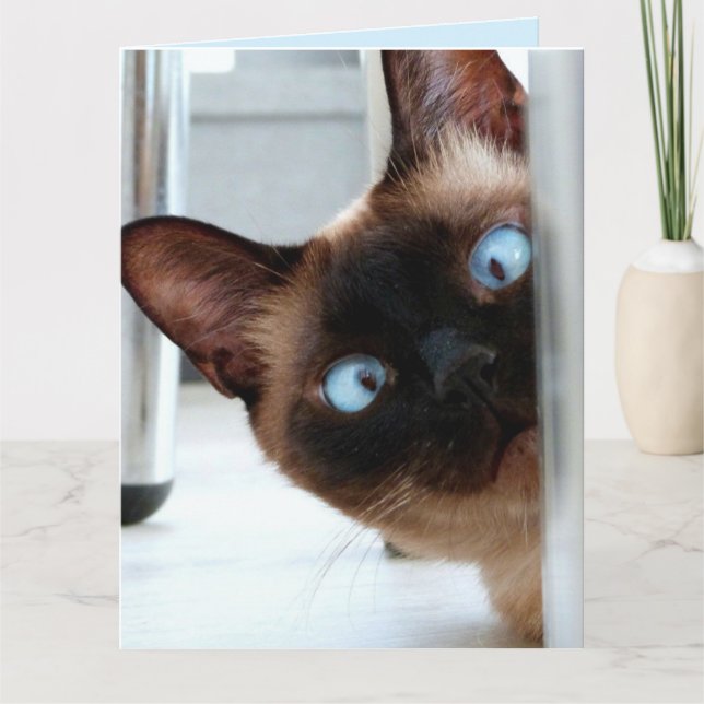 CUTE SIAMESE CAT PEEKING IN HELLO greeting CARD (Front)