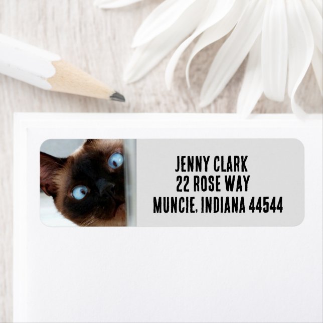 CUTE SIAMESE CAT PEEKING  RETURN ADDRESS LABELS (Insitu)