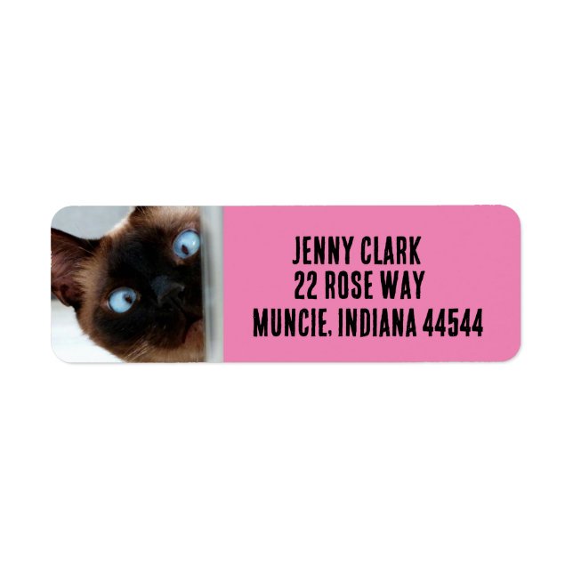 CUTE SIAMESE CAT PEEKING  RETURN ADDRESS LABELS (Front)