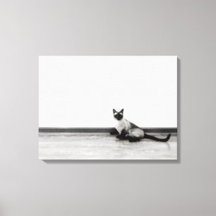 CUTE Siamese Cat Portrait Photograph Canvas Print