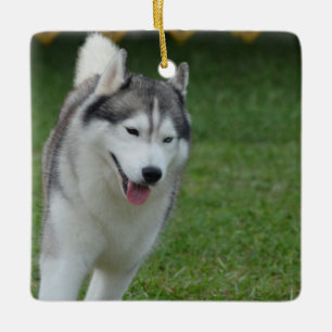 Cute Siberian Husky Ceramic Tree Decoration