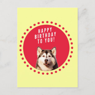 Cute Siberian Husky Dog Happy Birthday Postcard