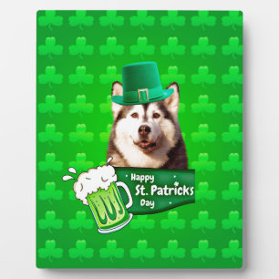 Cute Siberian Husky Dog Hat St. Patrick's Day Plaque