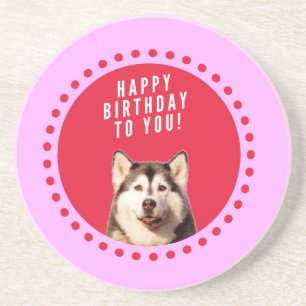 Cute Siberian Husky Dog Wishing Happy Birthday Coaster