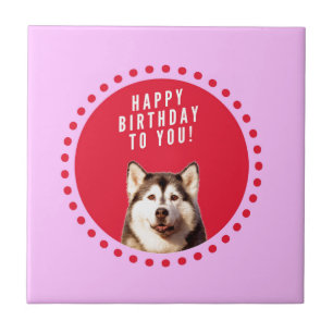 Cute Siberian Husky Dog Wishing Happy Birthday Tile