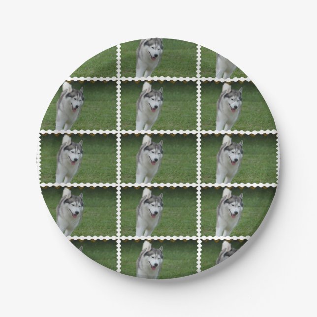 Cute Siberian Husky Paper Plate (Front)
