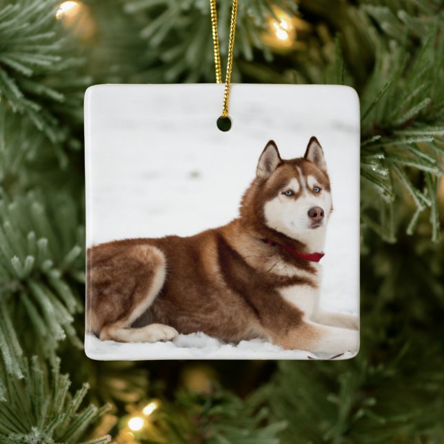 Cute Siberian Husky Portrait Ceramic Ornament (Tree)