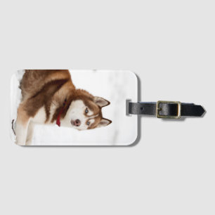 Cute Siberian Husky Portrait Luggage Tag