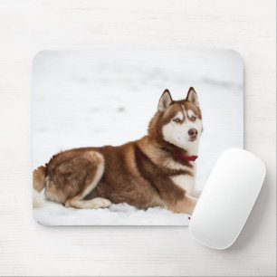Cute Siberian Husky Portrait Mouse Pad