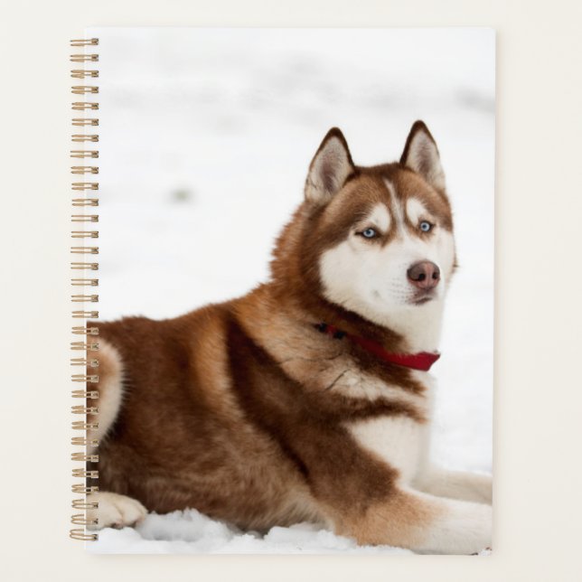 Cute Siberian Husky Portrait Planner (Front)