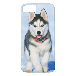 Cute Siberian Husky Puppy Dog in the Snow Case-Mate iPhone Case
